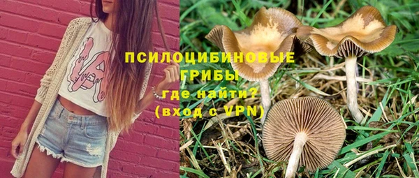 кокаин колумбия Богданович